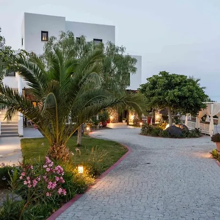 Maison Palms * Mesaria